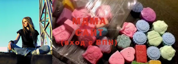 хмурый Абаза
