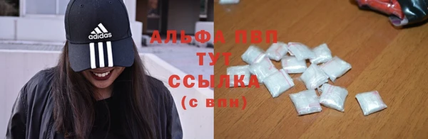 хмурый Абаза