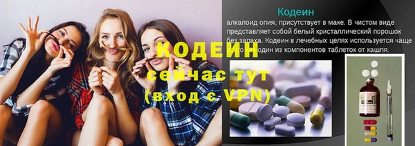 хмурый Абаза
