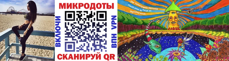 Псилоцибиновые грибы Psilocybine cubensis  Темников 